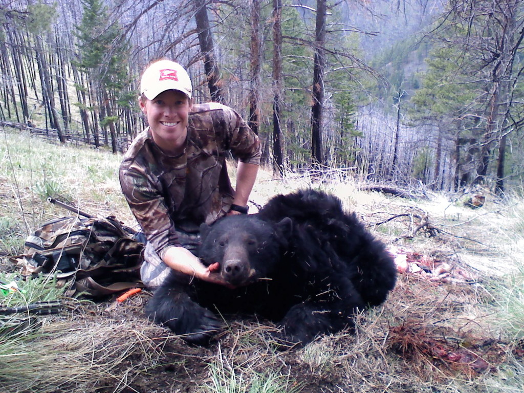 The first of many bear hunting in Montana