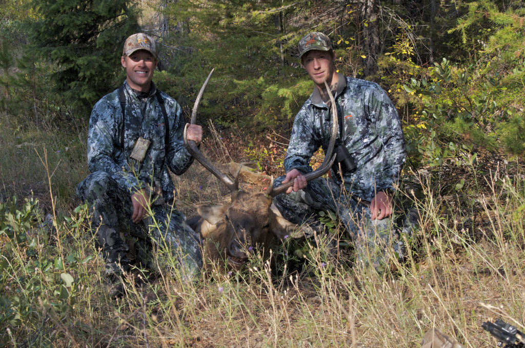 Bull down for the Montana Wild Crew Bowhunting Montana, archery elk hunting, Montana, MT, hunting district 292, Montana Wild, elk, bugling elk, outdoors, missoula, wallows, October