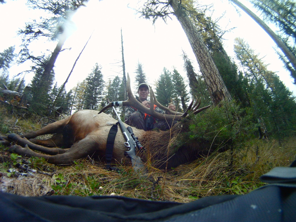 5X6 Bull Montana, Montana Wild, Montana Wild Outdoors, Travis Boughton, Missoula, Montana, hunting, bowhunting, rifle hunting, HD 285, Montana HD 285, Rifle Season 2011, Browning, Browning x-bolt, Winchester ammo, Butler Creek, Bull Elk, Elk, 5X6 ELK, Russell Outdoors, Sitka, Nikon Optics, Leica, Outdoor Edge Swingblade