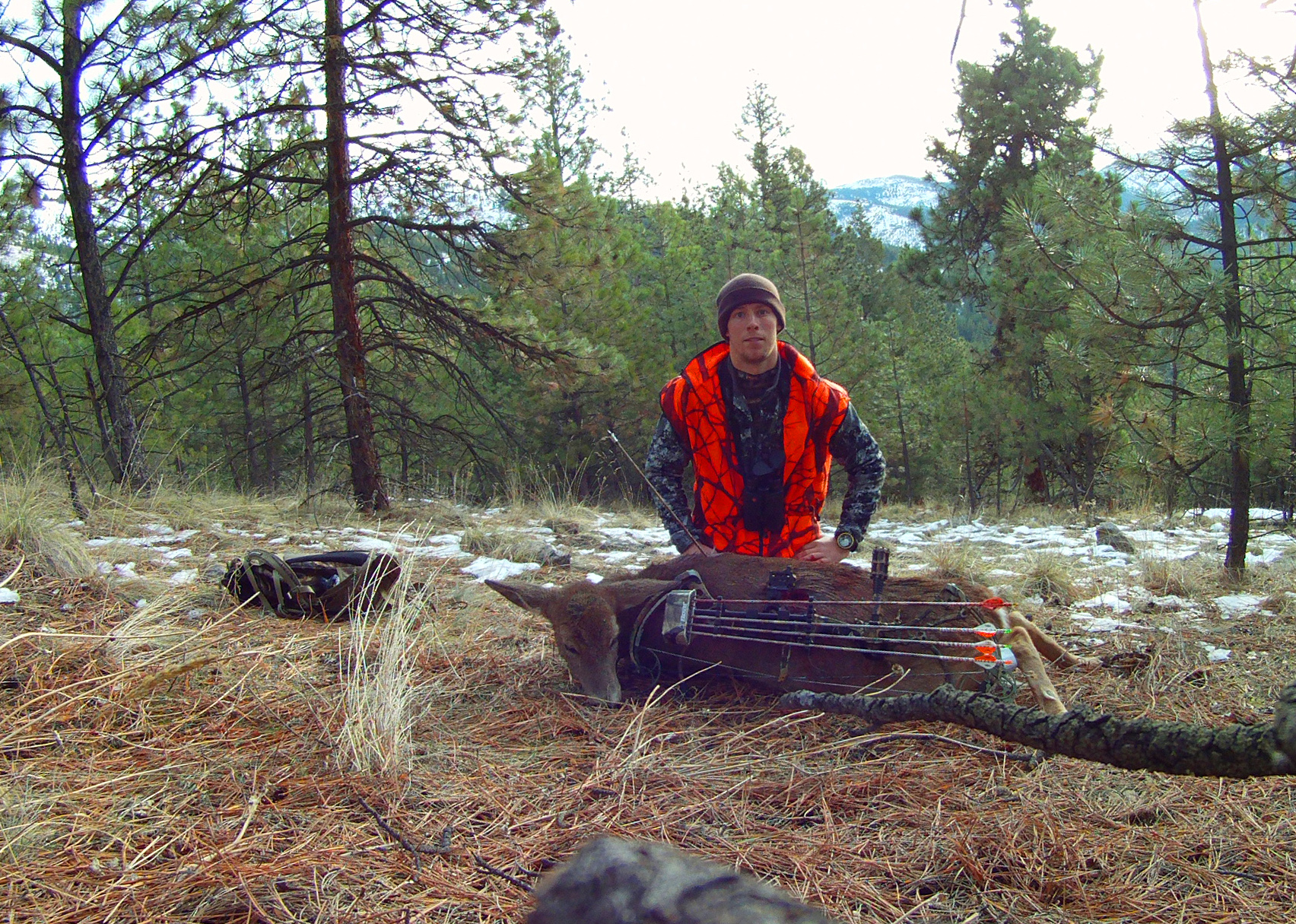 Rifle Season Doe hunting, Montana Wild, Montana Wild Outdoors, river bottom hunting, bear archery, bear carnage, trophy ridge meat seaker, whitetail doe, easton fmj, blazer vanes, sitka hunting, leica optics, Montana, bow hunting, spot and stalk hunting, grim reaper broadhead
