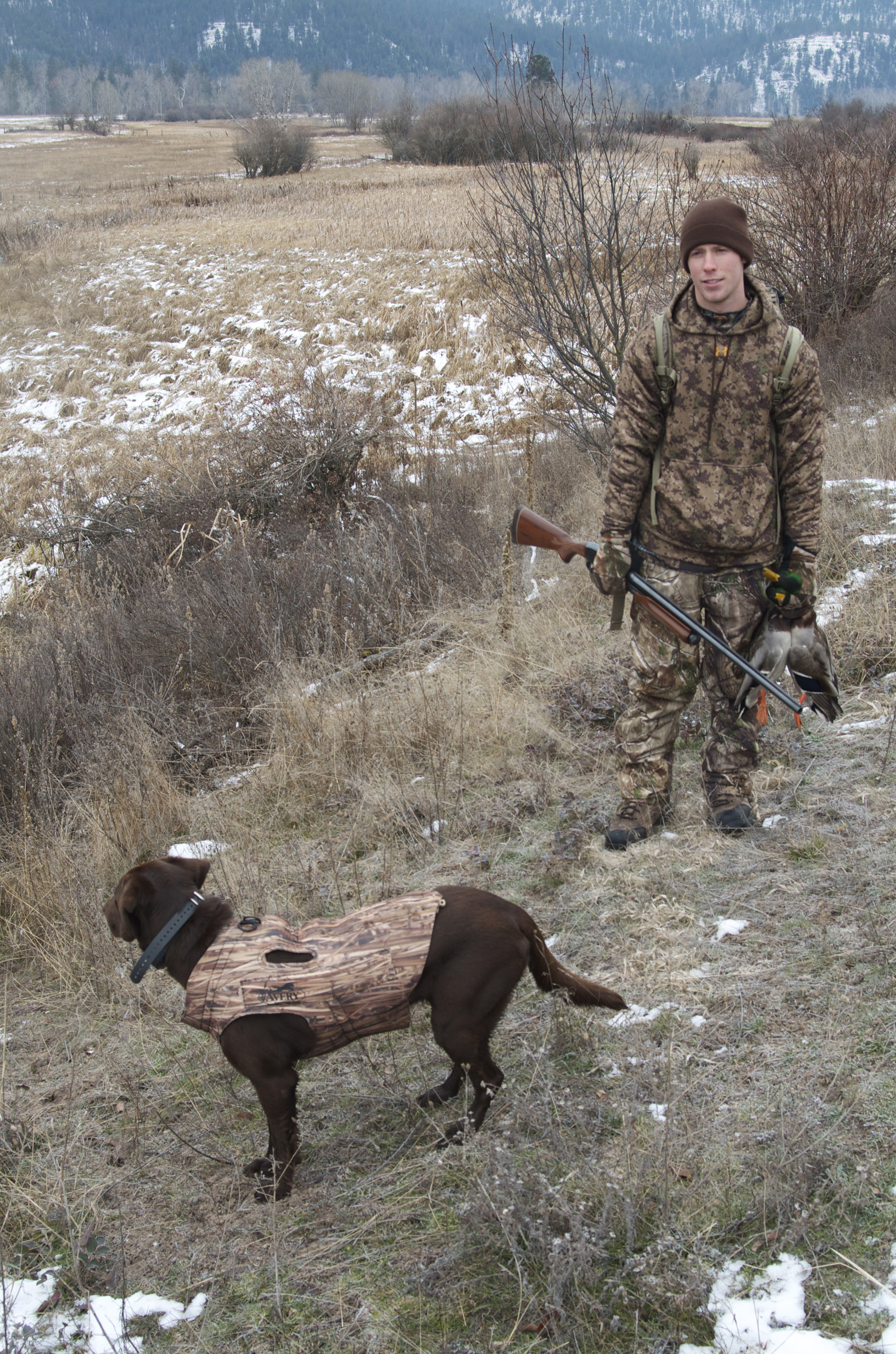 The days birds Montana Wild, duck hunting, birds, mallards, geese, waterfowl, Missoula, MT, shotguns, drakes, Montana, Remington, bird dog