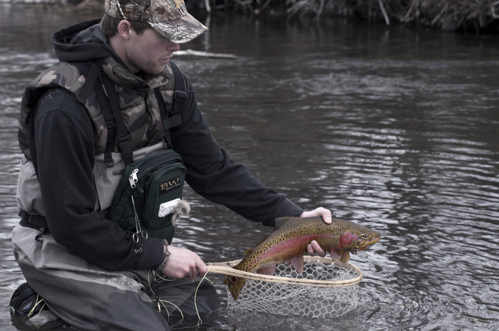 fly fishing, montana wild, mt, winter, rainbow, trout, cutbow, river, missoula, nymphing, nikon, redington, zack boughton, outdoors