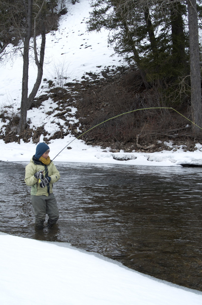 Annie fly fishing, montana, montana wild, trout, rock creek, annie roberts, nymphs, stonefly