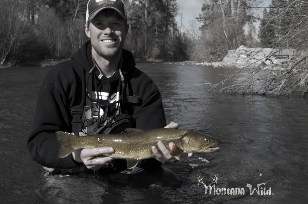 Bull trout Bull trout, bullies, montana wild, czech nymph, winter, fly fishing, rivers, Missoula, 5wt, deep pools, runs, Orvis, Boughton