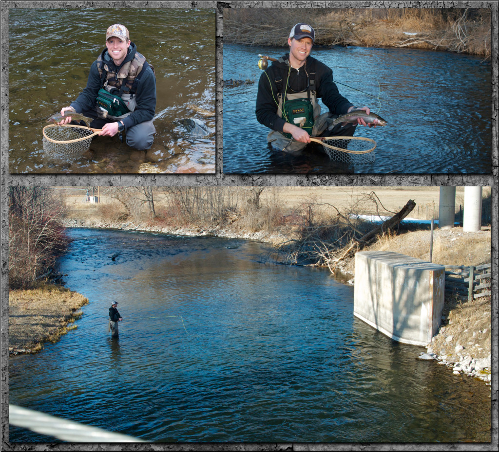 Triptic fly fishing, Montana Wild, MT, missoula, Rock Creek, trout, rainbow, nymphs, pat's, Orvis, St. Croix, Boughton