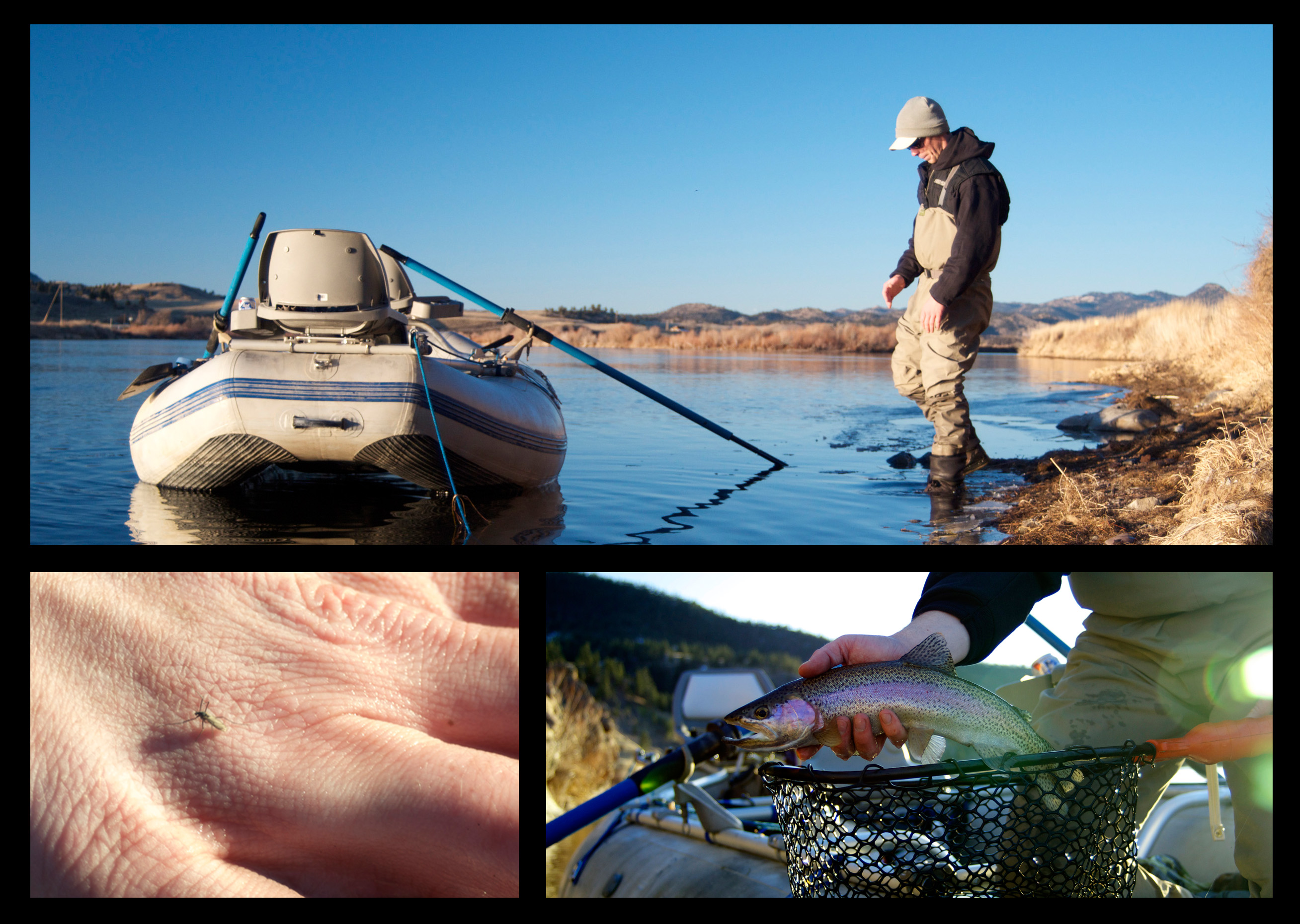 Evening on the Mo fly fishing montana, montana wild, missouri river, brown trout, rainbows, winter, outdoors, nymphing, action