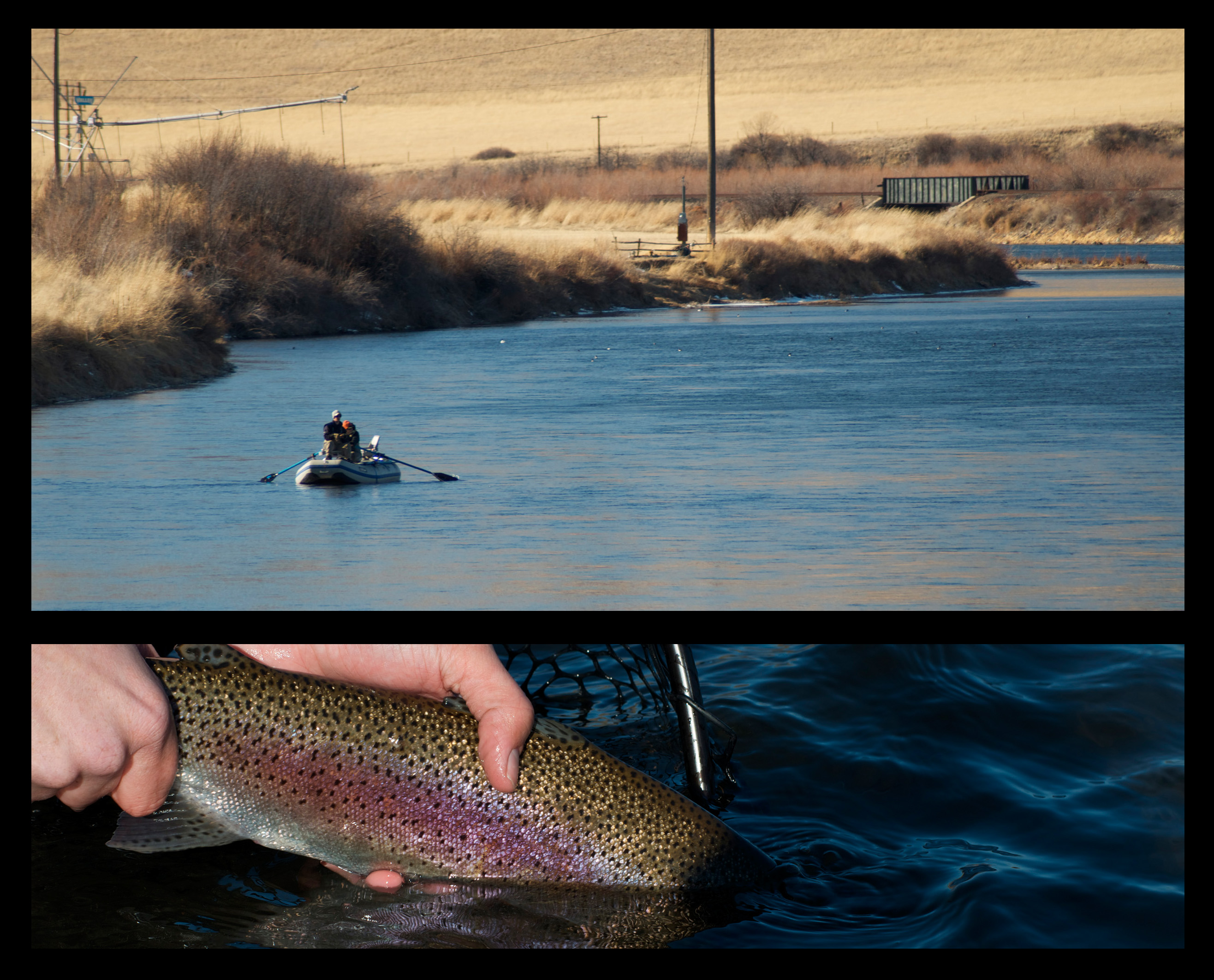 BOOM? fly fishing montana, montana wild, missouri river, brown trout, rainbows, winter, outdoors, nymphing, action, drift boat, Nikon, GoPro
