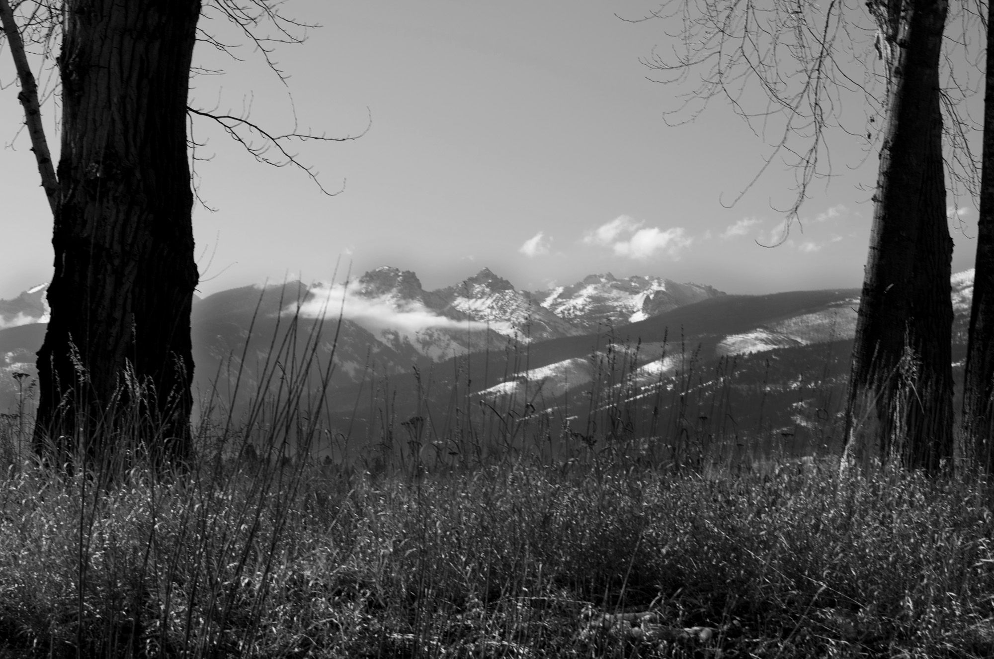 Bitteroots Bitteroot Mountains, montana wild, montana photography