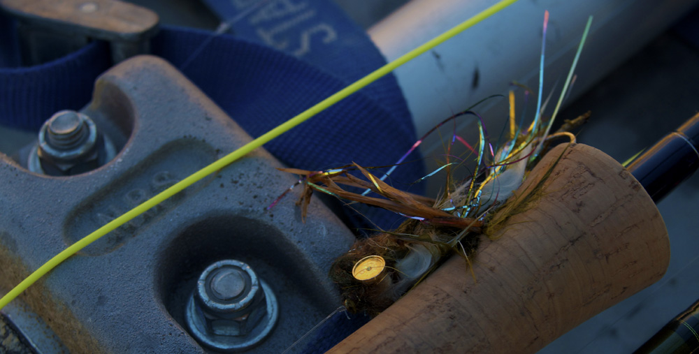 DSC_9164 hand tied fly, montana wild