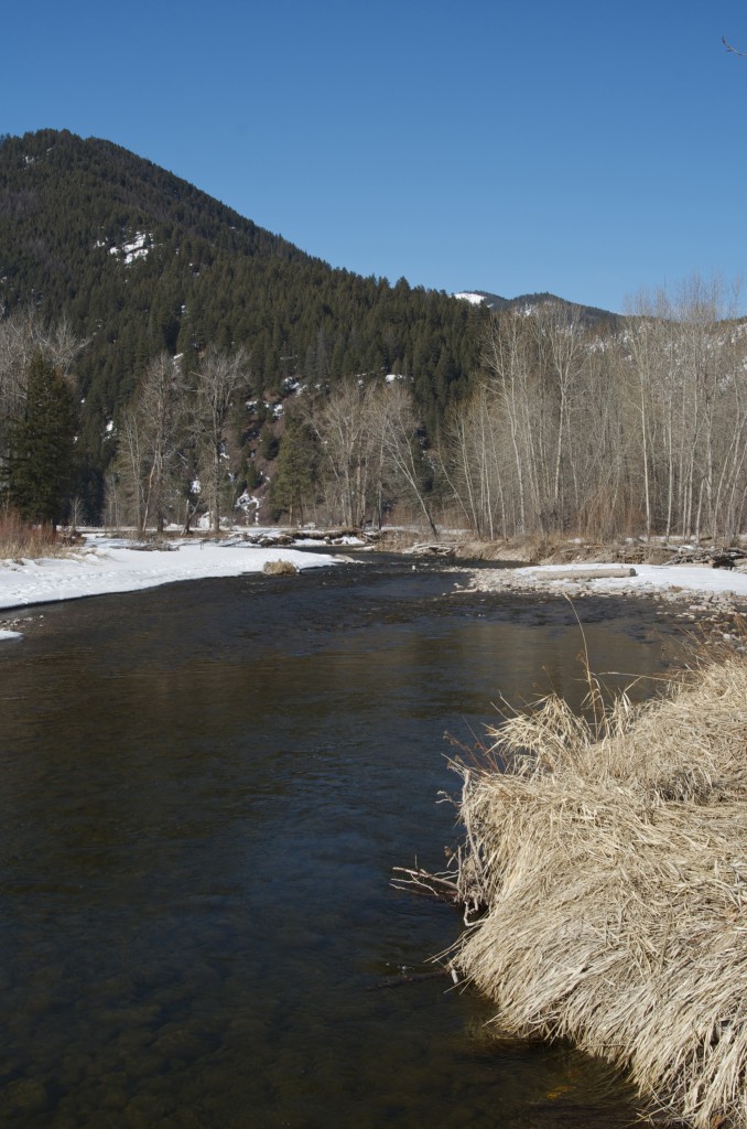 fly fishing rock creek, fishing montana, fly fishing in the winter, Orvis