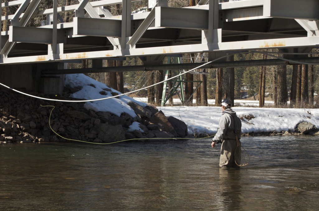 bridge fly fishing, montana wild fishing, montana midge, how to tie a midge