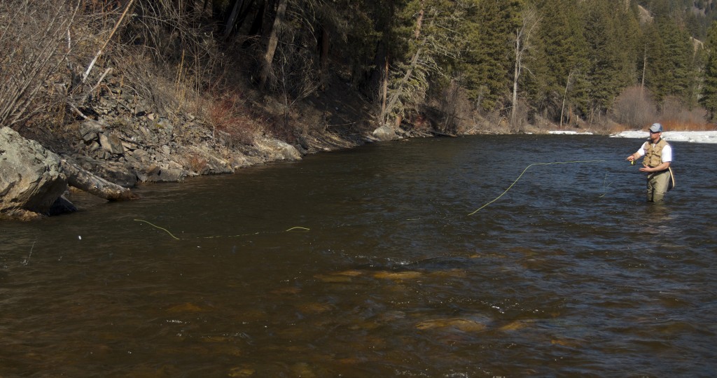perfect fly cast, how to fly cast, fly fishing rock creek montana