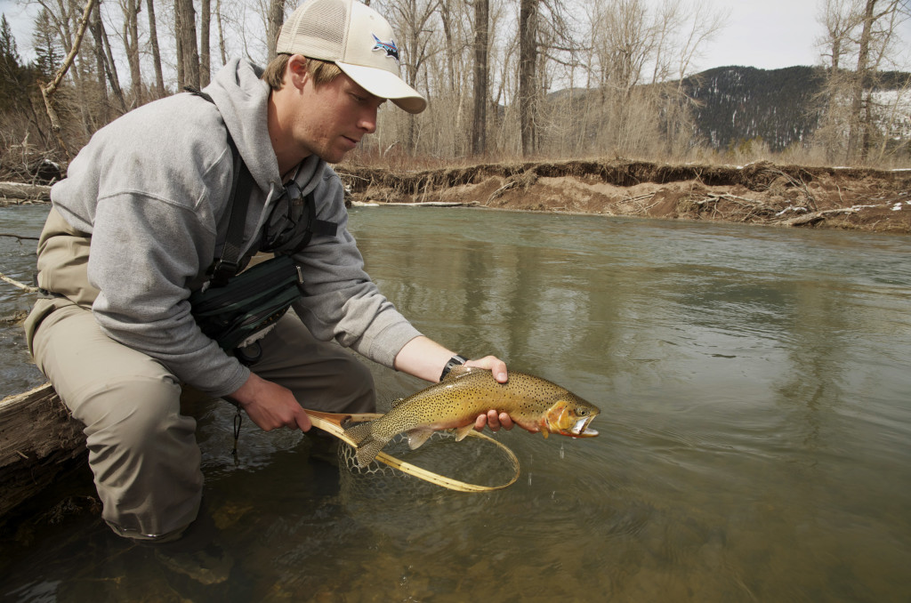 A native cutthroat Montana Wild, spring fishing, fly fishing, Brownes Lake, cutthroat, brown trout, Highway 200, elk, MT