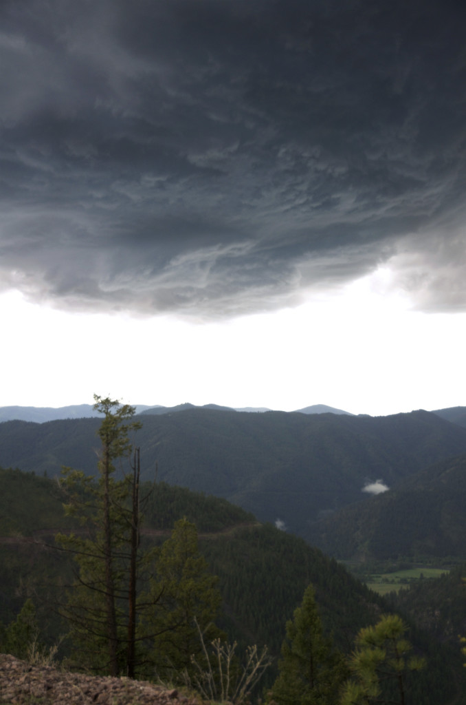 Weather in Montana bear hunting, Montana Wild, black bears, bowhunting, archery, Nikon D7000, hunting videos, timelapses, Bear Archery, Anarchy, Carbon Express