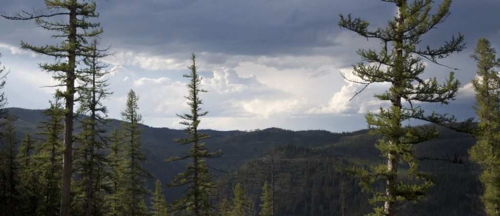Montana skyline bear hunting, Montana Wild, black bears, bowhunting, archery, Nikon D7000, hunting videos, timelapses, Bear Archery, Anarchy, Carbon Express