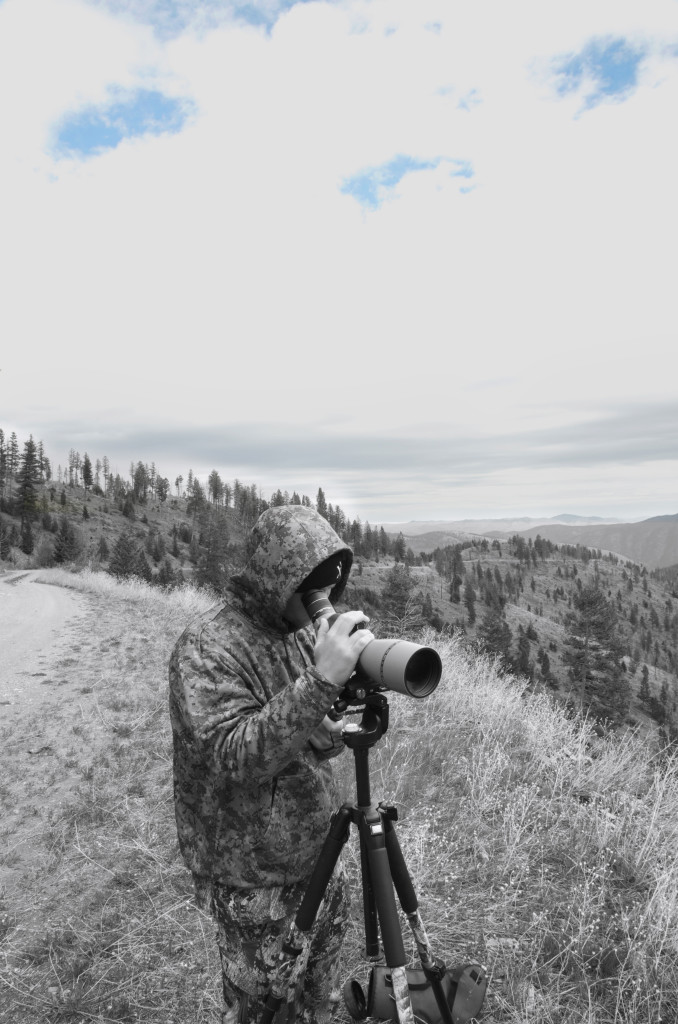 Glassing for wild creatures bear hunting, Montana Wild, black bears, bowhunting, archery, Nikon D7000, hunting videos, timelapses, Bear Archery, Anarchy, Carbon Express