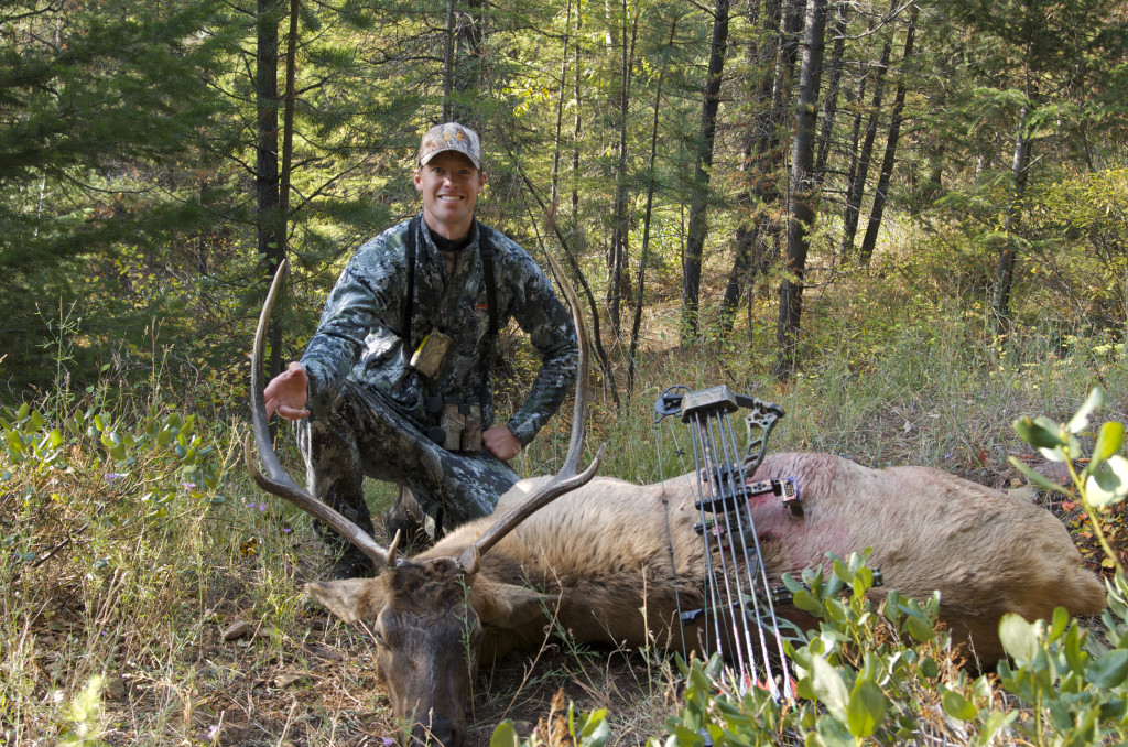Elk hunting Montana, Montana Wild, bull elk, bowhunting, archery elk video, bugling elk, Nikon D7000