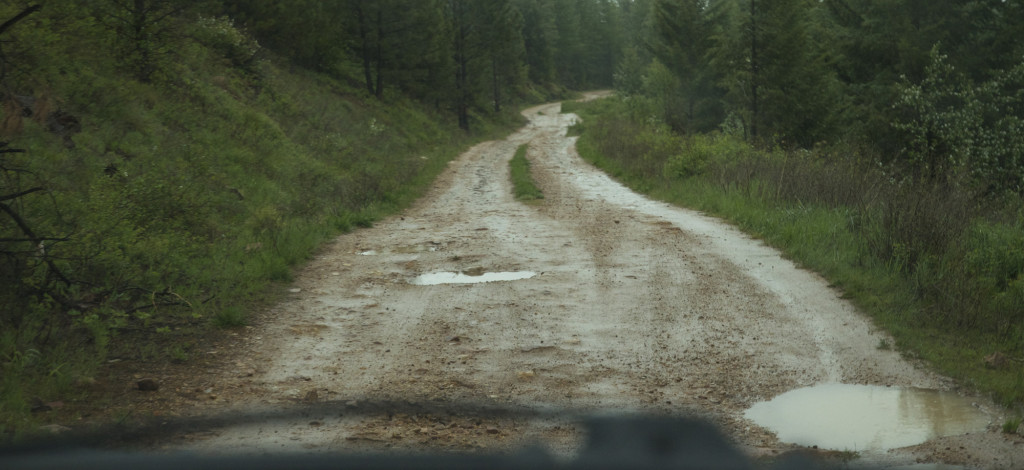 Backroads of Montana bear hunting, Montana Wild, black bears, bowhunting, archery, Nikon D7000, hunting videos, timelapses, Bear Archery, Anarchy, Carbon Express