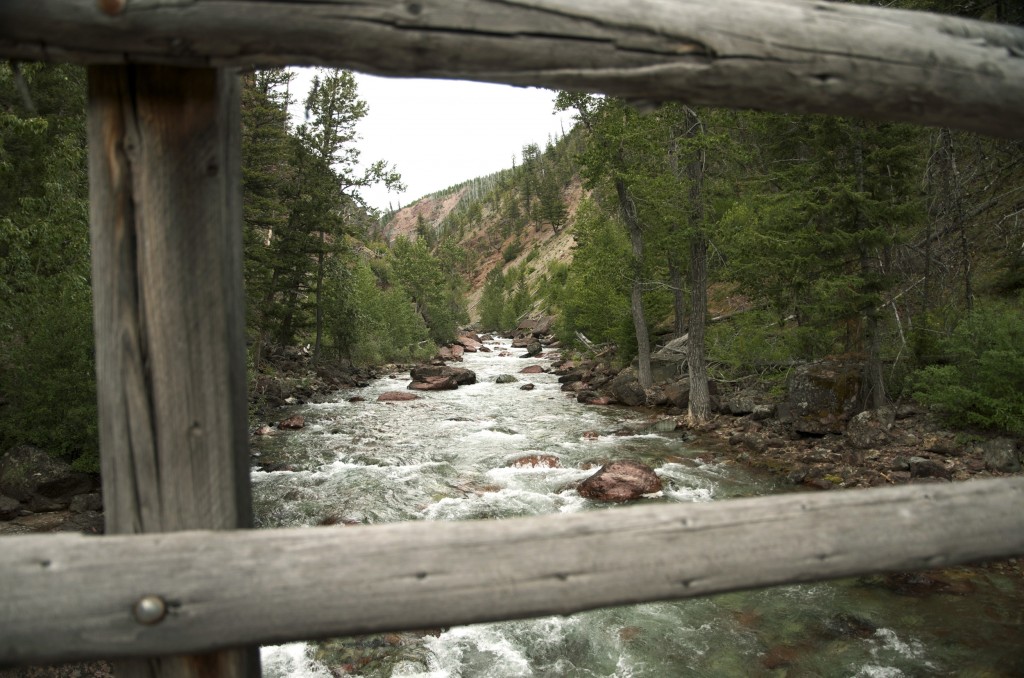 backcountry montana fly fishing, montana wild, backcountry, summer, wild trout, native cutthroats, western mt, fishing videos, nikon d7000, goPro