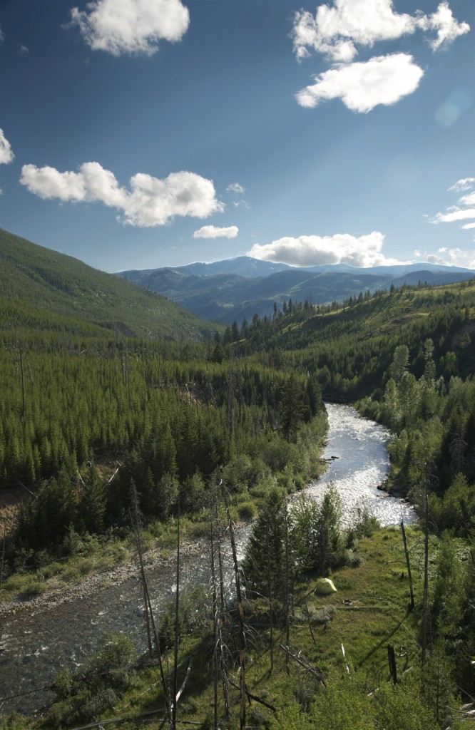 Camp in Montana's backcountry fly fishing, montana wild, backcountry, summer, wild trout, native cutthroats, western mt, fishing videos, nikon d7000, goPro