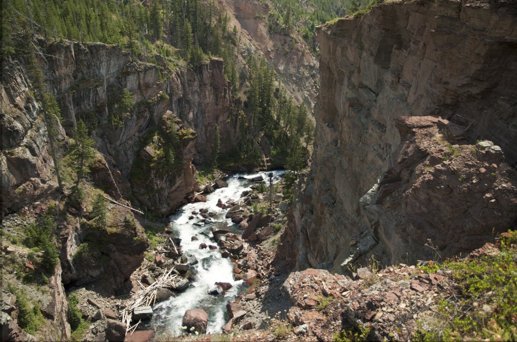 backcountry nikon photo fly fishing, montana wild, backcountry, summer, wild trout, native cutthroats, western mt, fishing videos, nikon d7000, goPro