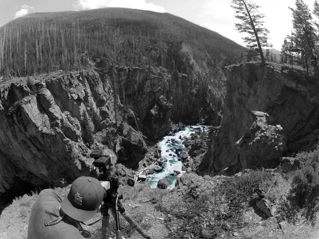 backcountry rivers of montana fly fishing, montana wild, backcountry, summer, wild trout, native cutthroats, western mt, fishing videos, nikon d7000, goPro