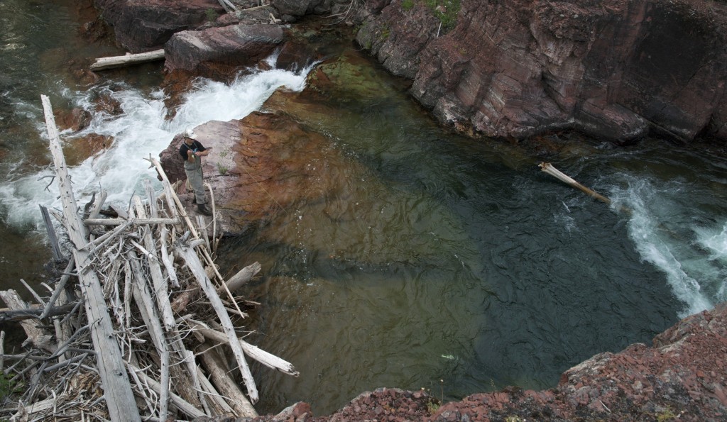 7 miles from the trailhead fly fishing, montana wild, backcountry, summer, wild trout, native cutthroats, western mt, fishing videos, nikon d7000, goPro