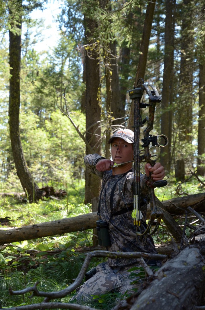 Shooting the Bear Anarchy drop tine bull elk, montana wild, elk scouting, moultrie, M80, game camera, bull elk, blackfoot river, cutthroat trout, missoula, sitka, vortex