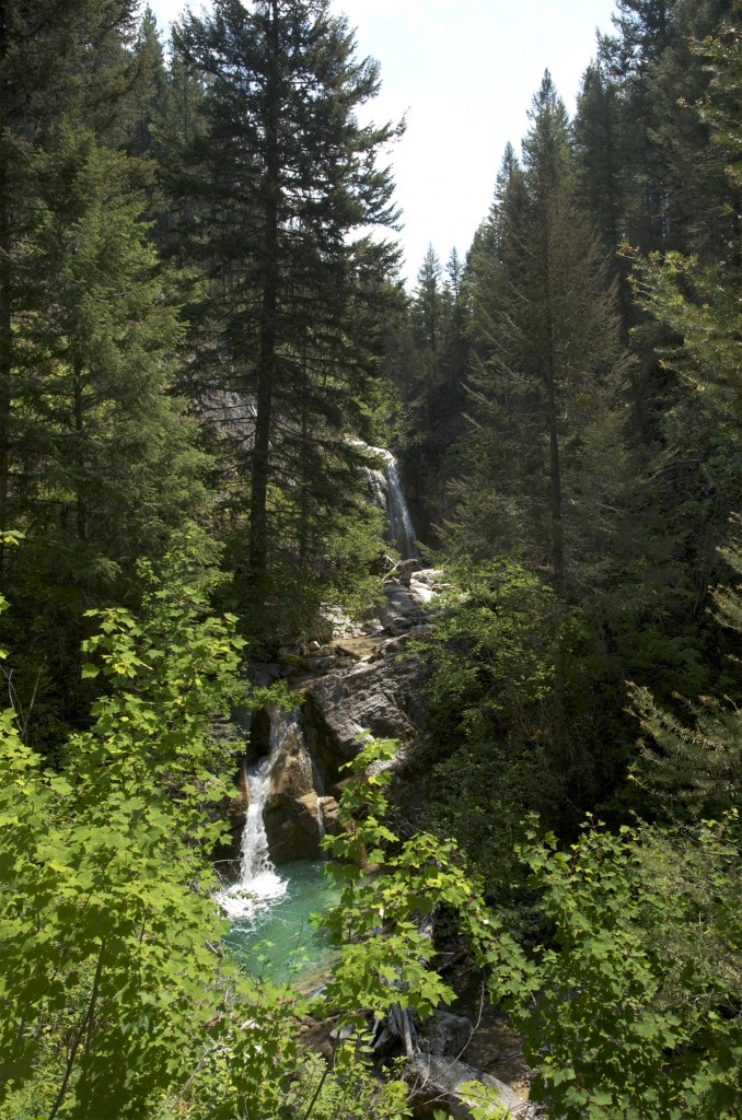A wild creek wilderness fishing, bull trout, cutthroat, fly fishing, montana wild, outdoors, 2012