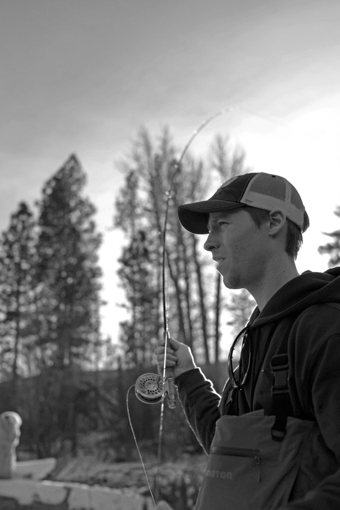 fly fishing, montana, wild, winter, montana wild, missoula, trout, streamers
