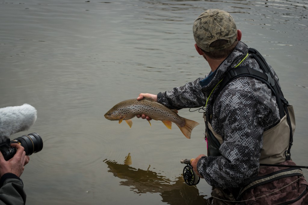 Dan, leavens, rooster, montana, simms, iceout, shoot, out, montana, wild