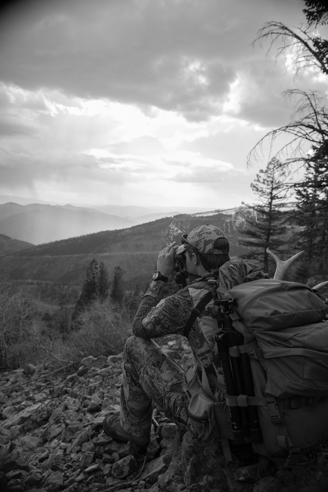 bears, bear hunting, montana wild, montana, bowhunting