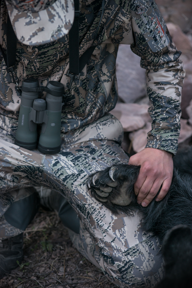 black bear, hunting, montana, wild, sitka gear, spring, 2013