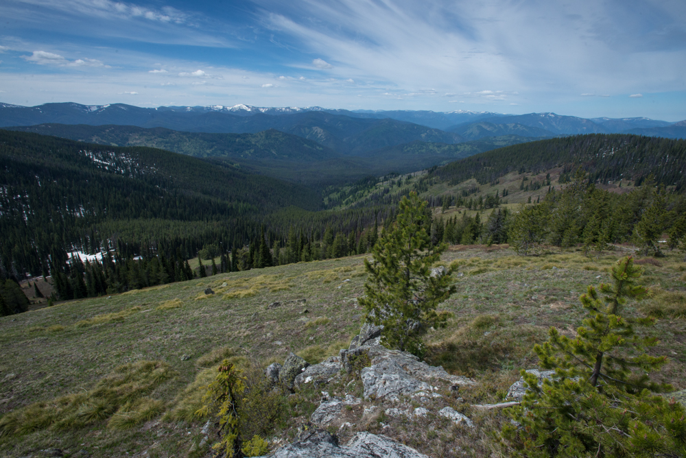 idaho, backcountry, wilderness, bear, hunting, spring