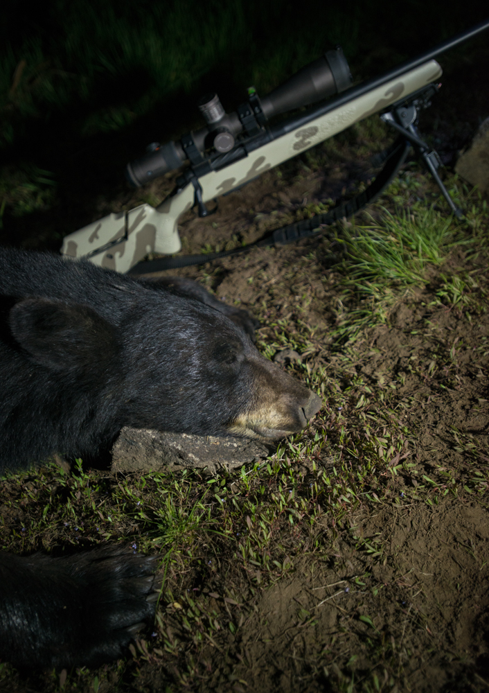 black bear, hunting, snowy mountain rifles, vortex, razor hd